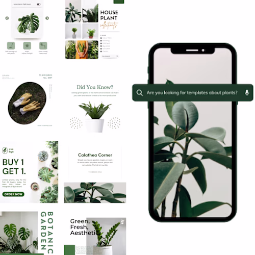 Social Media Content House Plant