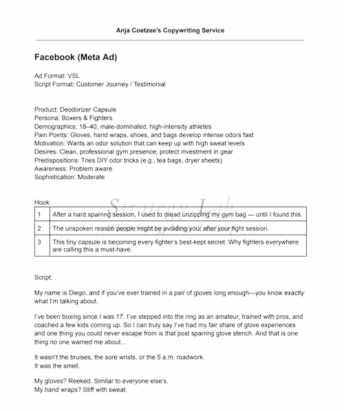 Video Sales Letter Copywriting