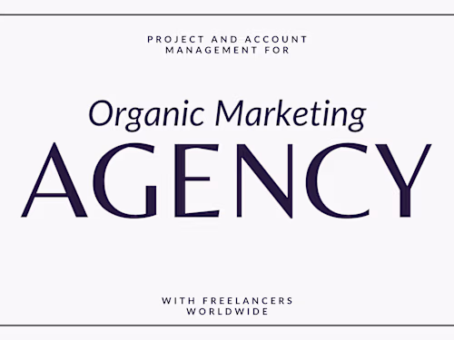 Lead Project Manager for Marketing Agency