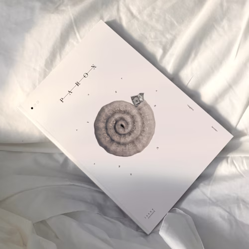 Creative Direction & Identity - Magazine