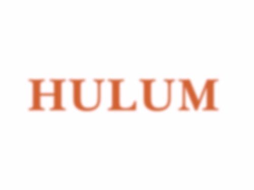 Hulum - The Dream Insight. Illustrated dream dictionary 