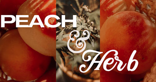 BRAND CONCEPT PEACH & HERB CBD CHEF & CATERING COMPANY
