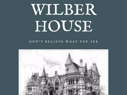 Mystery Novel
