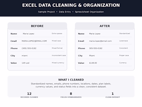Excel Data Cleaning & Organization