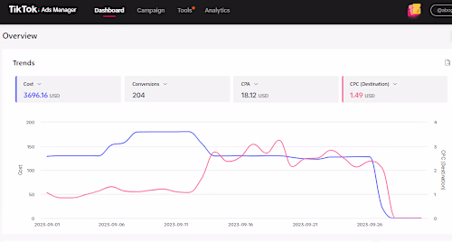 TikTok Ads Management