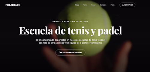Website design and development for