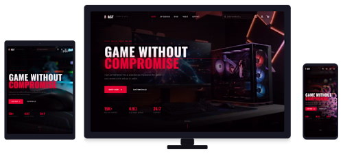 Ecommerce Website