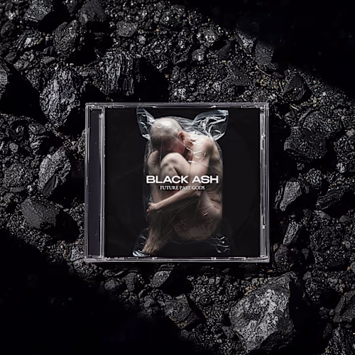 Music Album Cover (Future Past