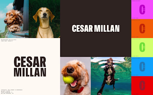 Cesar Millan Rebrand