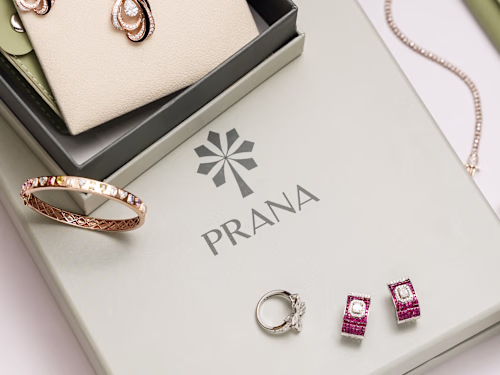 Introducing PRANA — a fine