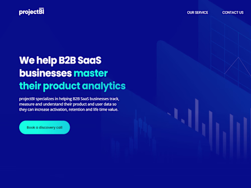 Project BI