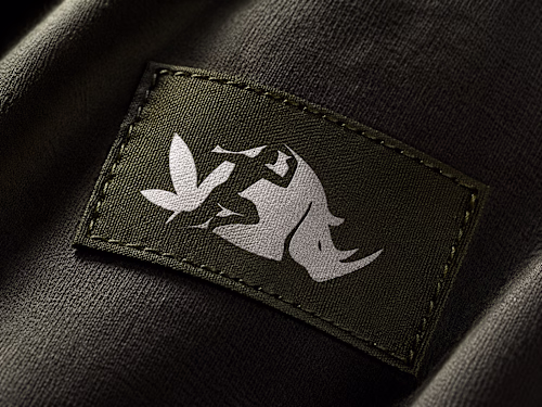 Rhinobis Logo Design Project