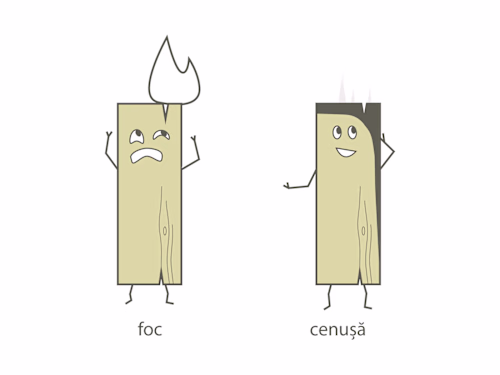 Scândurel — Wood Care Character Illustrations