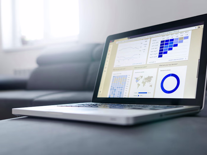 Data Entry Optimization for Financial Reporting