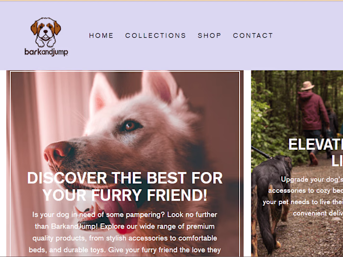 Expert E-commerce Website Designer