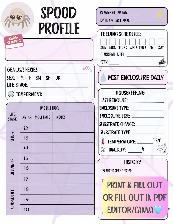 Designed a printable and digital-fillable