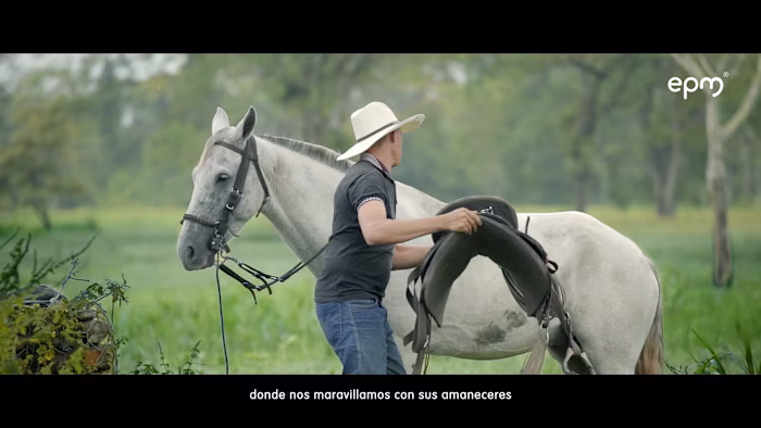 EPM (Hidroituango) - Horses