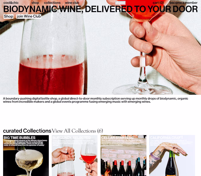 COOL&CHIC, website planning design