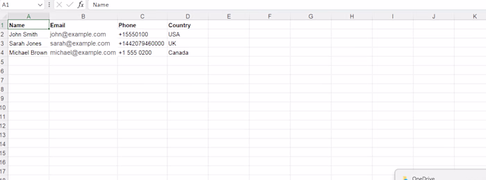 Data Entry Practice
A sample project