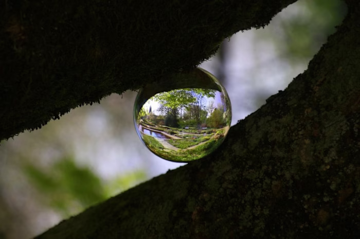 Sharpening Perception for Inner Peace
