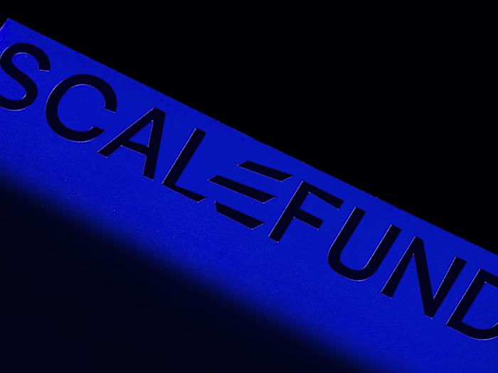 ScaleFund Brand Identity