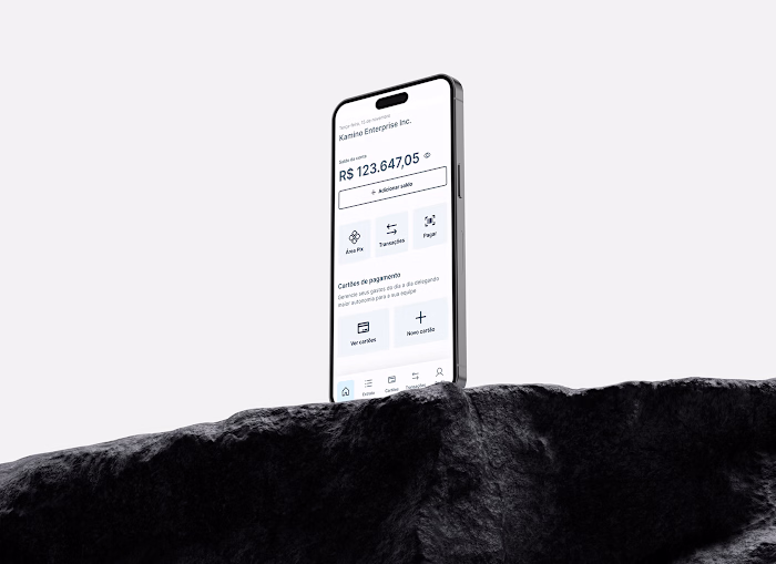 Kamino banking app