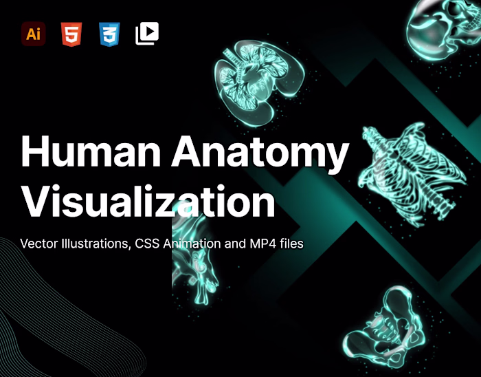 Human Anatomy Motion Graphics