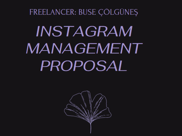 Instagram Social Media Management
