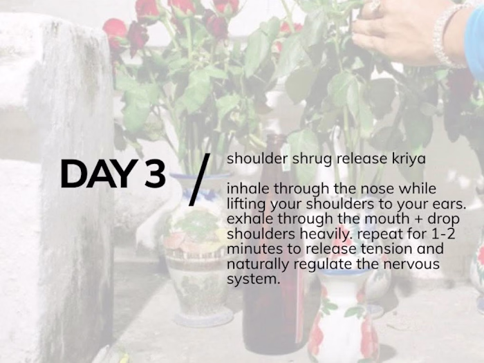 Nervous System Curriculum Sample