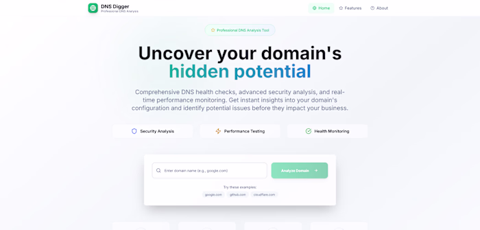 DNS Digger