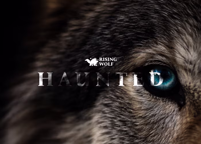 Rising Wolf Logo Design