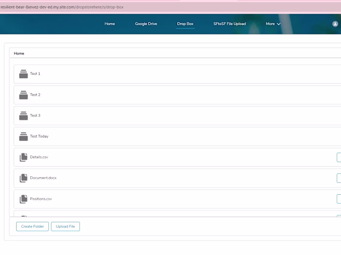 Cloud Storage Integration with Salesforce