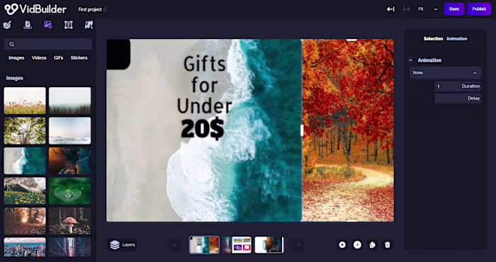 Video Image Editor