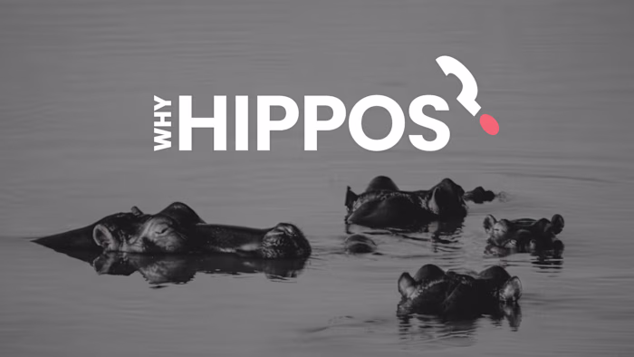 WHY HIPPOS?|Awareness Campaign|Brand Identity Design