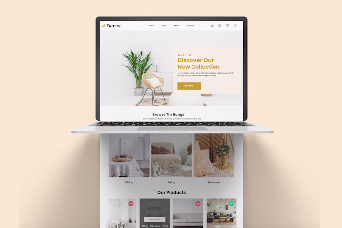 Furniture labding page design