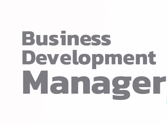 Project Manager