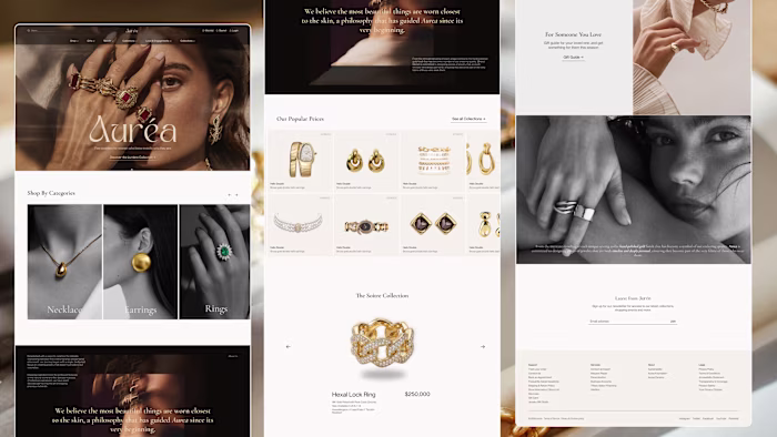 The brief:
"Design a modern, premium