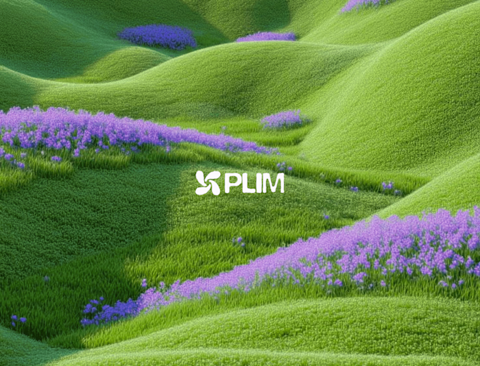 Plim