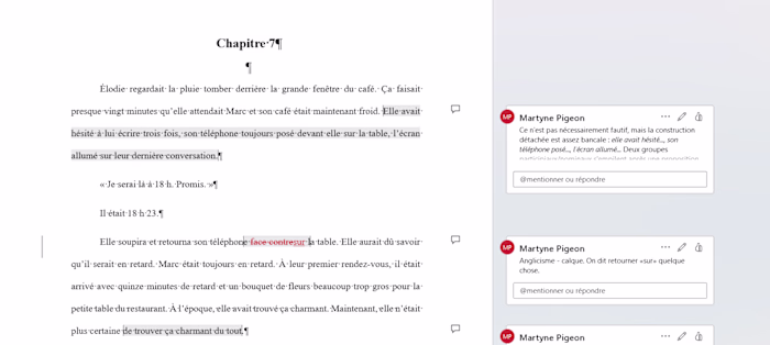 French Fiction Proofreading & Linguistic Review