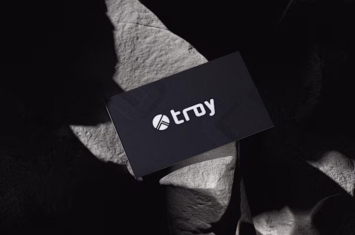 Troy - Tech Startup Branding