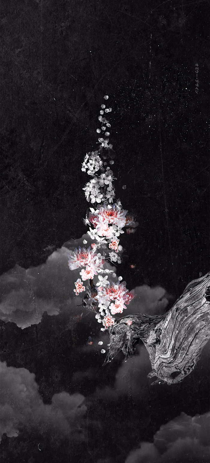 VISUAL ARTWORK