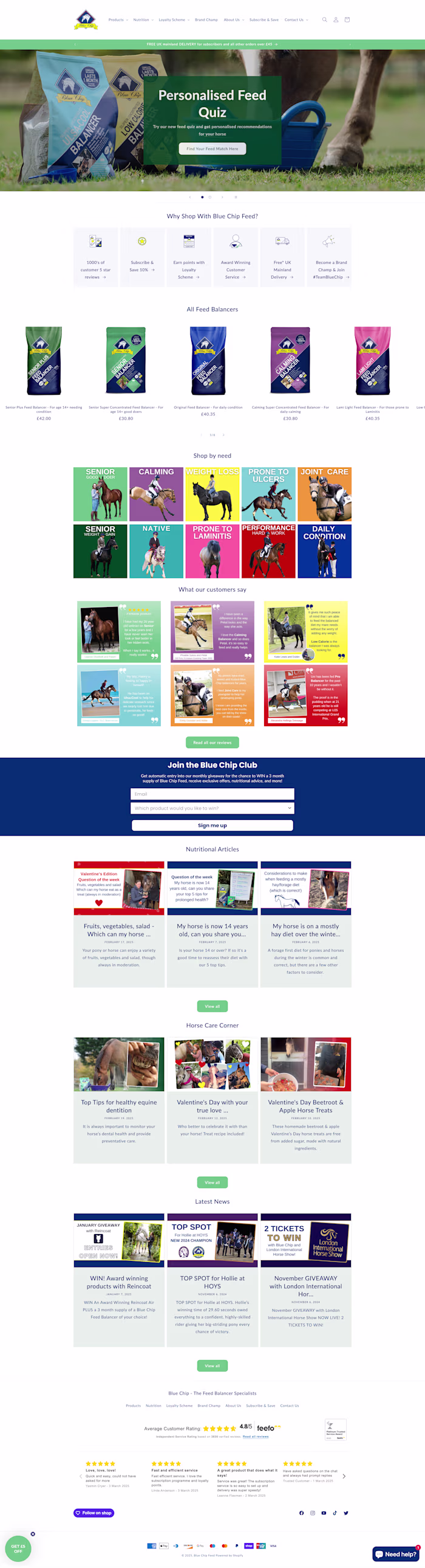 Ecommerce Website