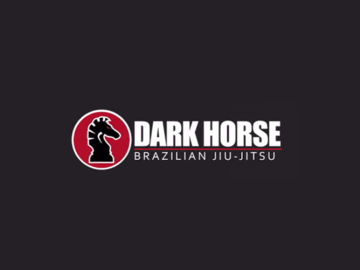 SEO & Content Management for Jiu-jitsu Gym