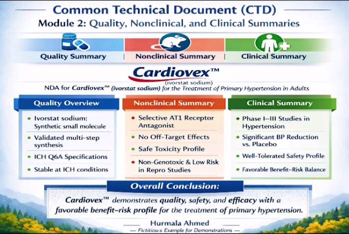 This CTD Module 2 visual