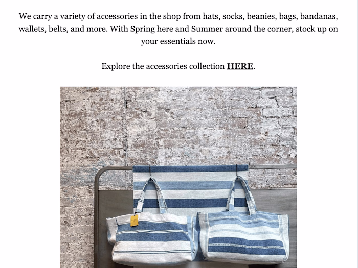 Omnisend Email Marketing Campaign for Blue in Green SOHO