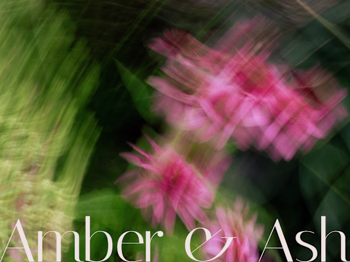 Amber & Ash
