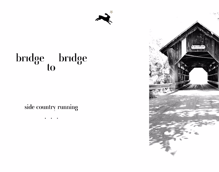 Bridge to Bridge