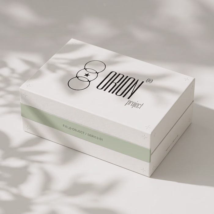 Orion Brand Identity Project
