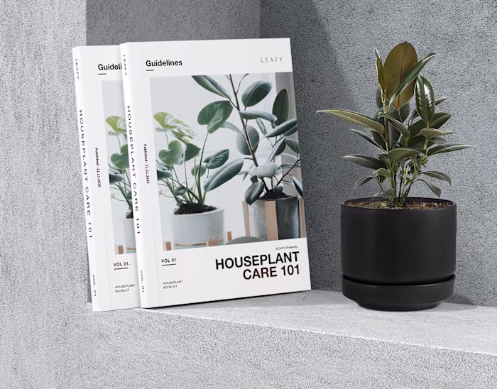 LEAFY | Editorial Magazine Design