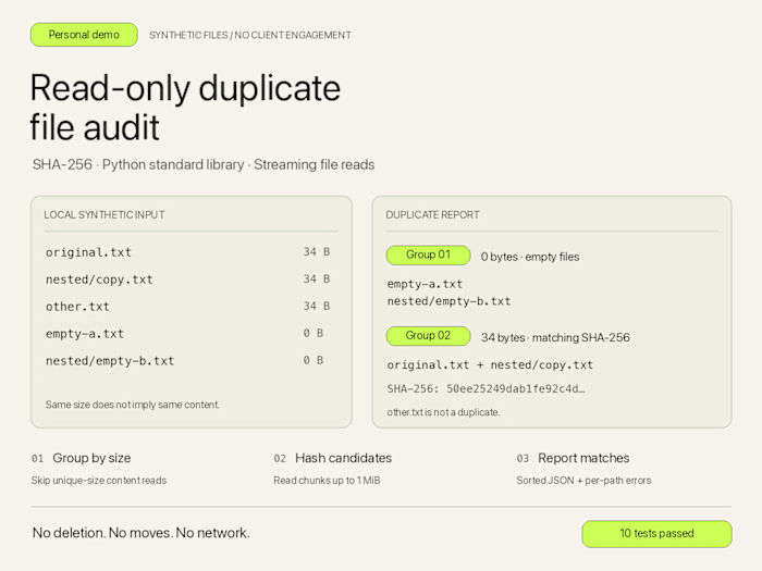 Duplicate File Audit — Personal Python Demo